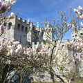 Magnolia trees and the Knight's Kingdom castle, A Trip to Legoland, Windsor, Berkshire - 25th March 2017
