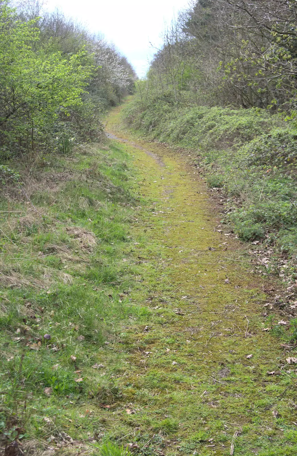 The remains of the old A143 just outside Brockdish, from A Postcard from Beccles, Suffolk - 2nd April 2017