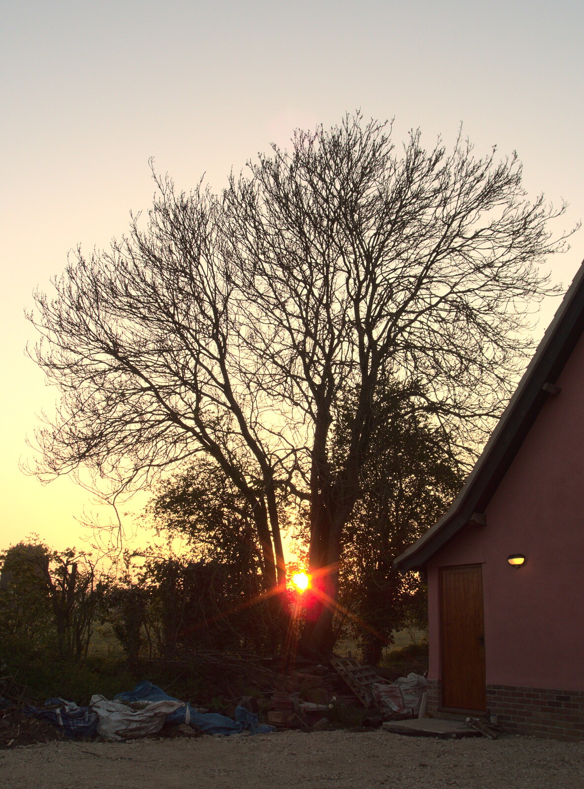 The sun sets through the ash tree from Comedy Night, and a Village Yard Sale, Eye and Brome, Suffolk - 8th April 2017