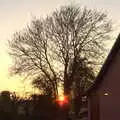 The sun sets through the ash tree, Comedy Night, and a Village Yard Sale, Eye and Brome, Suffolk - 8th April 2017