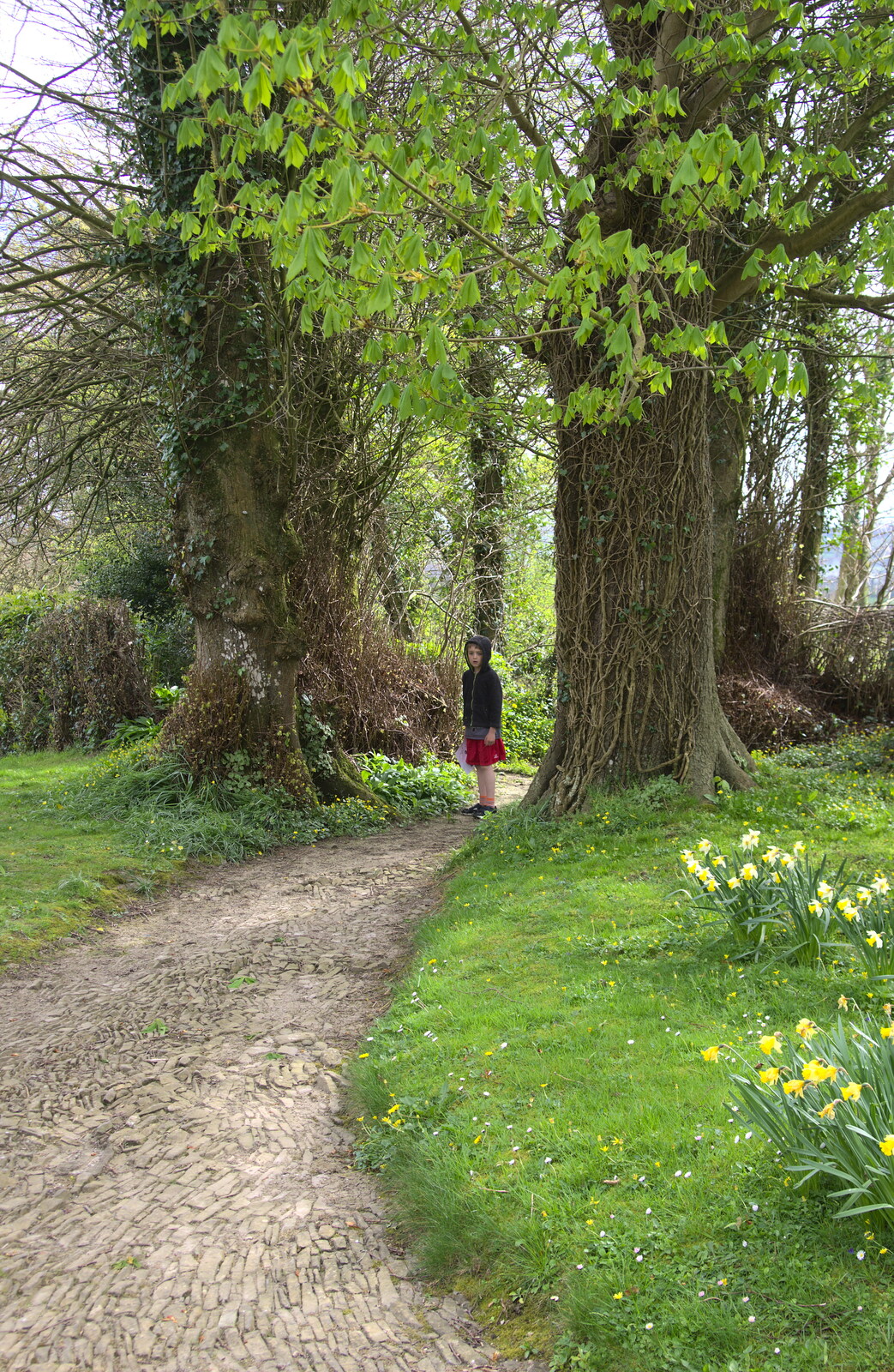 Fred on a church path from Grandma J's and a Day on the Beach, Spreyton and Exmouth, Devon - 13th April 2017