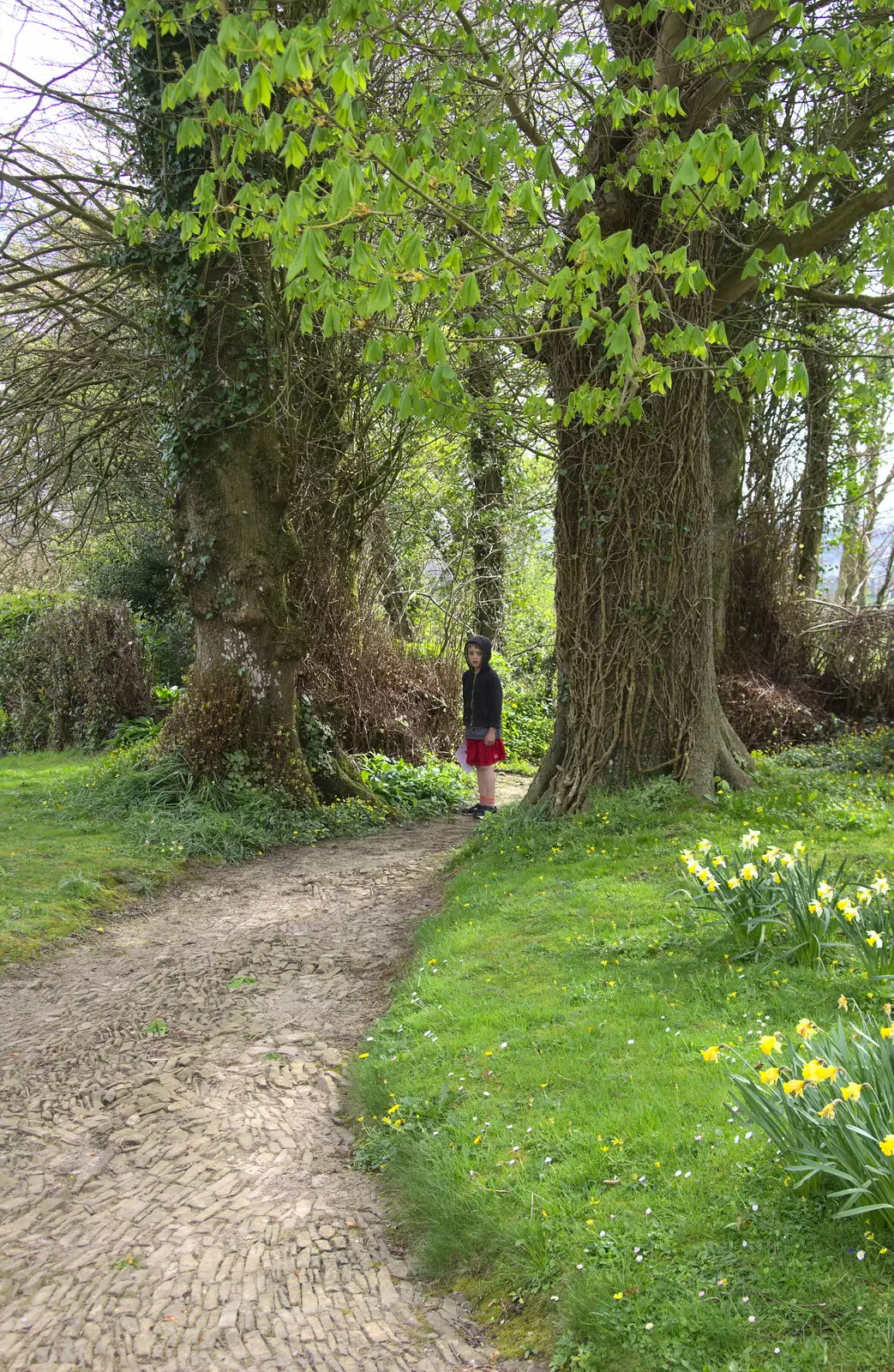 Fred on a church path, from Grandma J's and a Day on the Beach, Spreyton and Exmouth, Devon - 13th April 2017