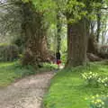 Fred on a church path, Grandma J's and a Day on the Beach, Spreyton and Exmouth, Devon - 13th April 2017