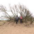 Fred finds a tree in the dunes, Grandma J's and a Day on the Beach, Spreyton and Exmouth, Devon - 13th April 2017
