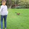 Mother feeds her pet pheasants, A Barbeque, Grimspound and Pizza, Dartmoor and Exeter, Devon - 15th April 2017