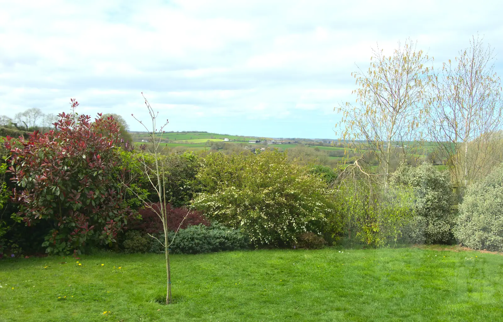 The view from Mother's dining room, from A Barbeque, Grimspound and Pizza, Dartmoor and Exeter, Devon - 15th April 2017