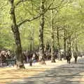 Early spring foliage on Constitution Hill, A Trip to Reykjavik, Iceland - 20th April 2017