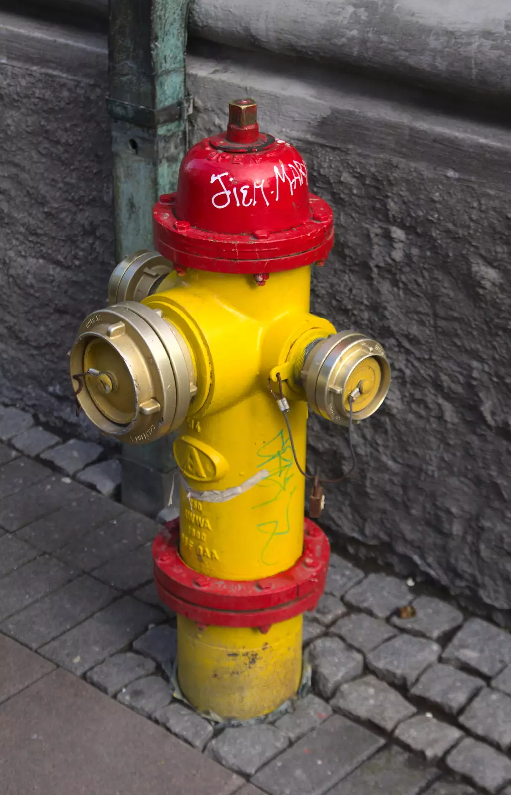 US-style fire hydrant, from Hallgrímskirkja Cathedral and Whale Watching, Reykjavik - 21st April 2017