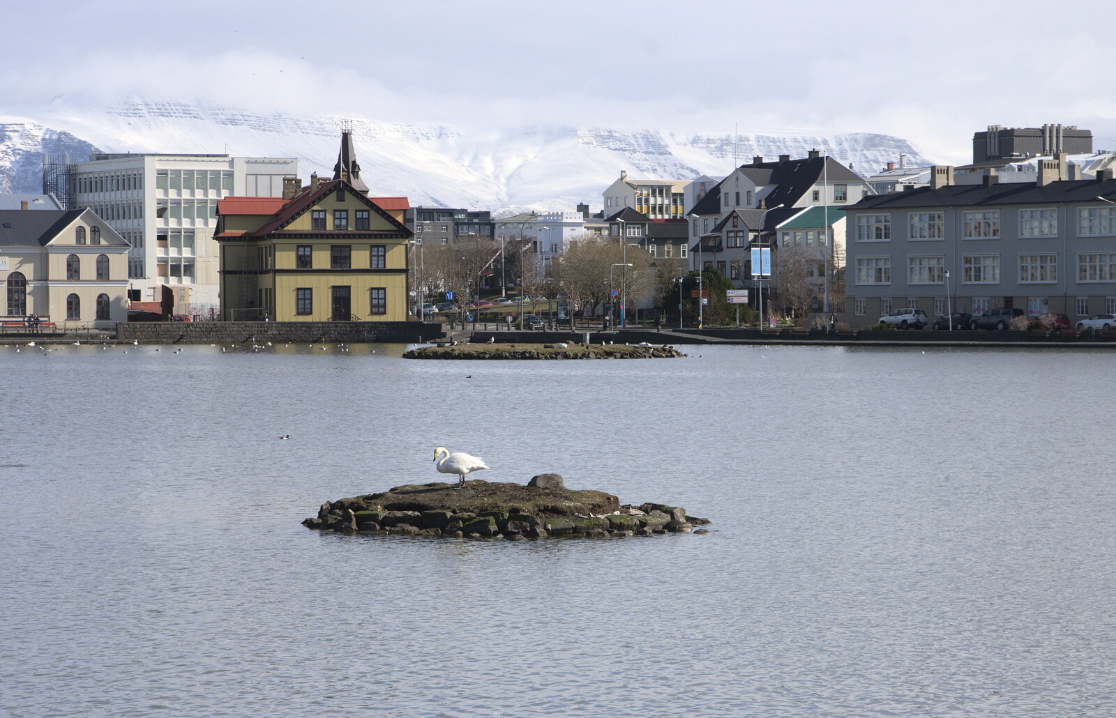 The pond, or Tjörnin from Hallgrímskirkja Cathedral and Whale Watching, Reykjavik - 21st April 2017