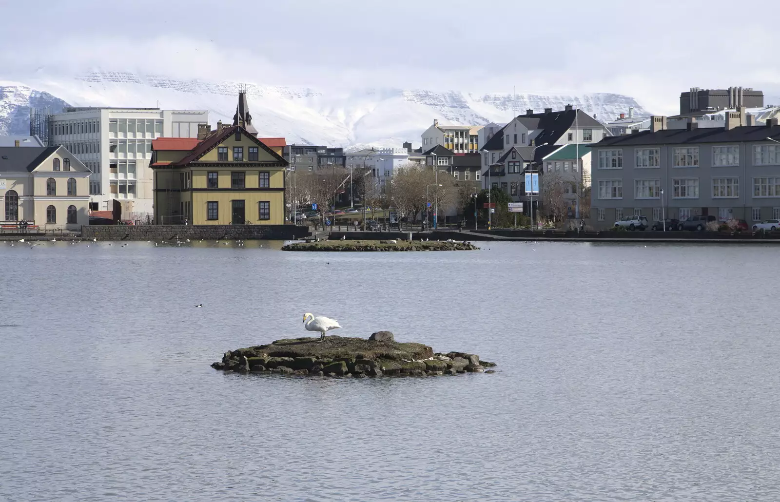 The pond, or Tjörnin, from Hallgrímskirkja Cathedral and Whale Watching, Reykjavik - 21st April 2017