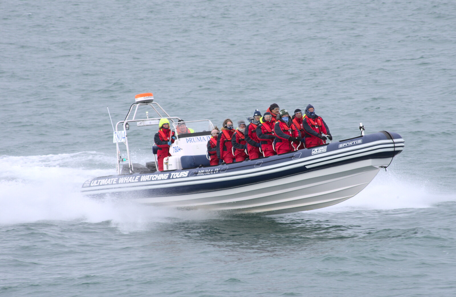 A whale-watching RIB scoots by from Hallgrímskirkja Cathedral and Whale Watching, Reykjavik - 21st April 2017