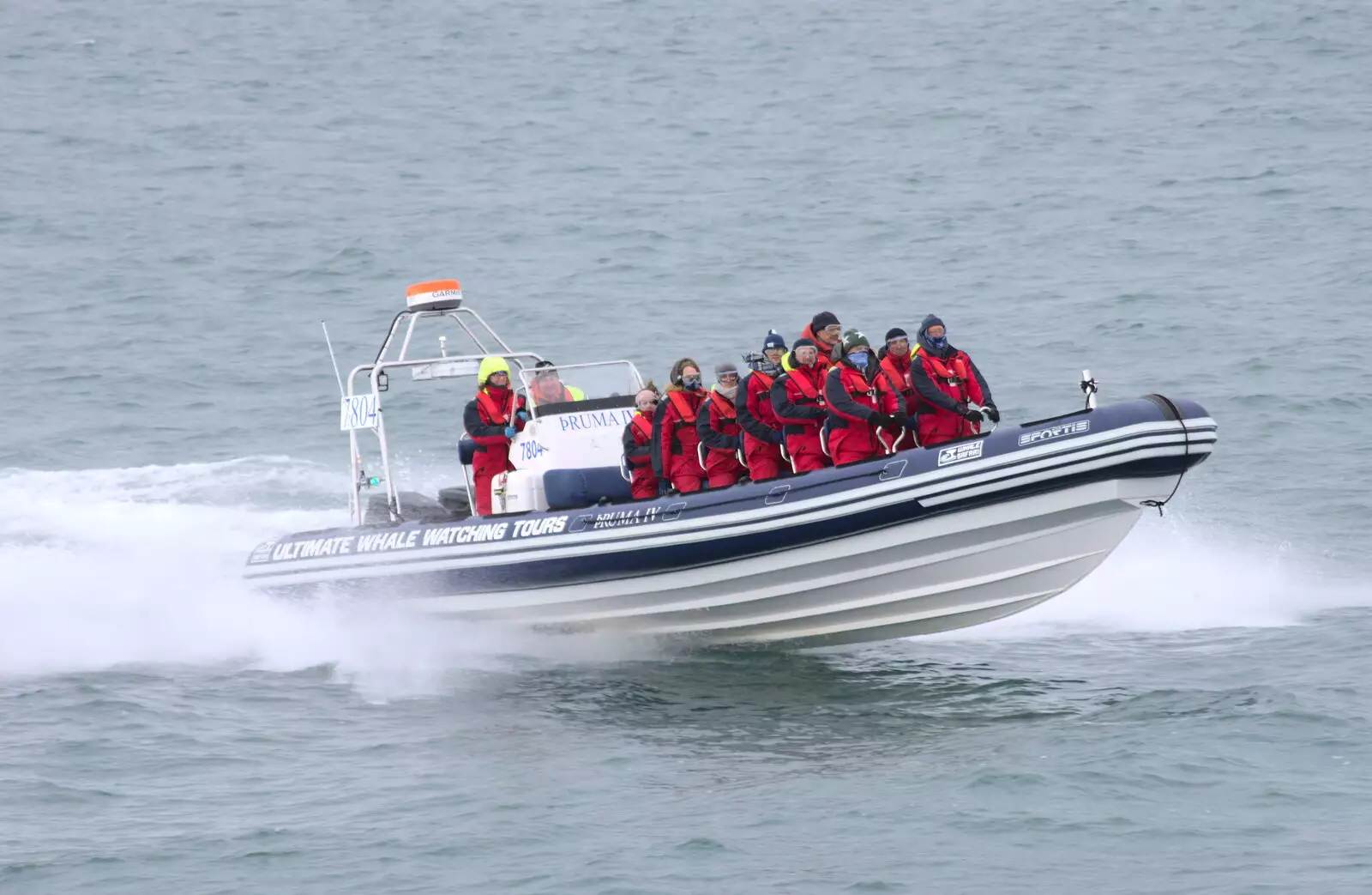 A whale-watching RIB scoots by, from Hallgrímskirkja Cathedral and Whale Watching, Reykjavik - 21st April 2017