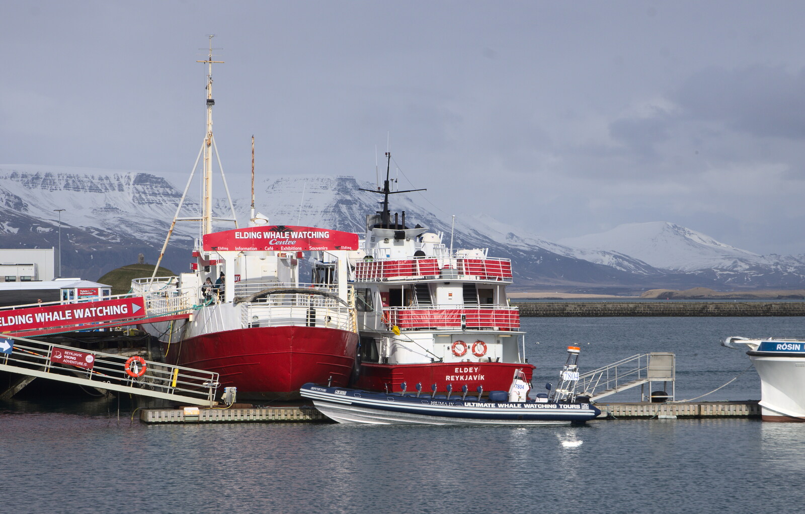 Our whale-watching boat: Eldey from Hallgrímskirkja Cathedral and Whale Watching, Reykjavik - 21st April 2017