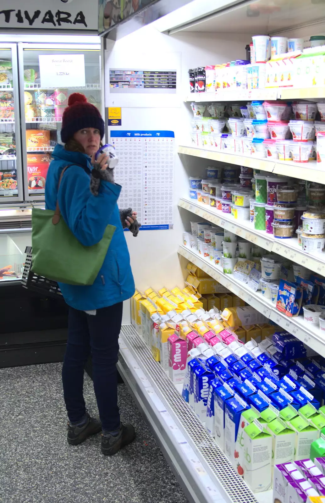 Isobel gets some Skyr from the supermarket, from Hallgrímskirkja Cathedral and Whale Watching, Reykjavik - 21st April 2017