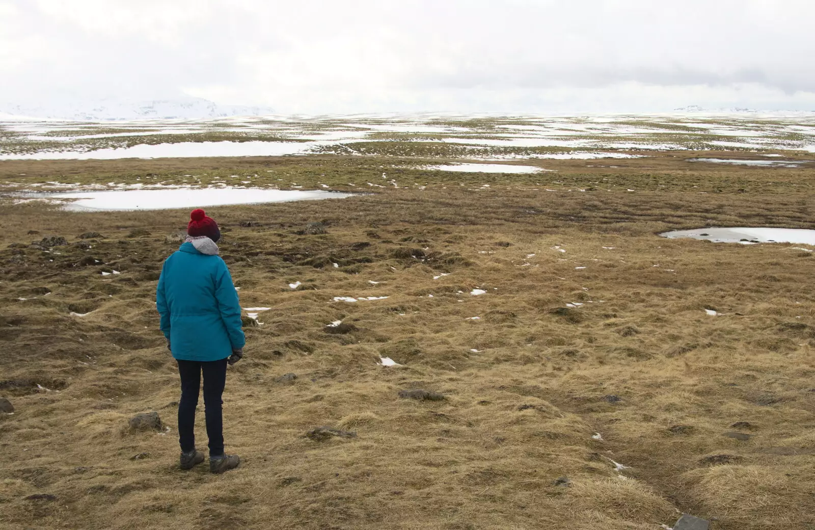 Isobel looks out on the icy wastes, from The Golden Circle of Ísland, Iceland - 22nd April 2017