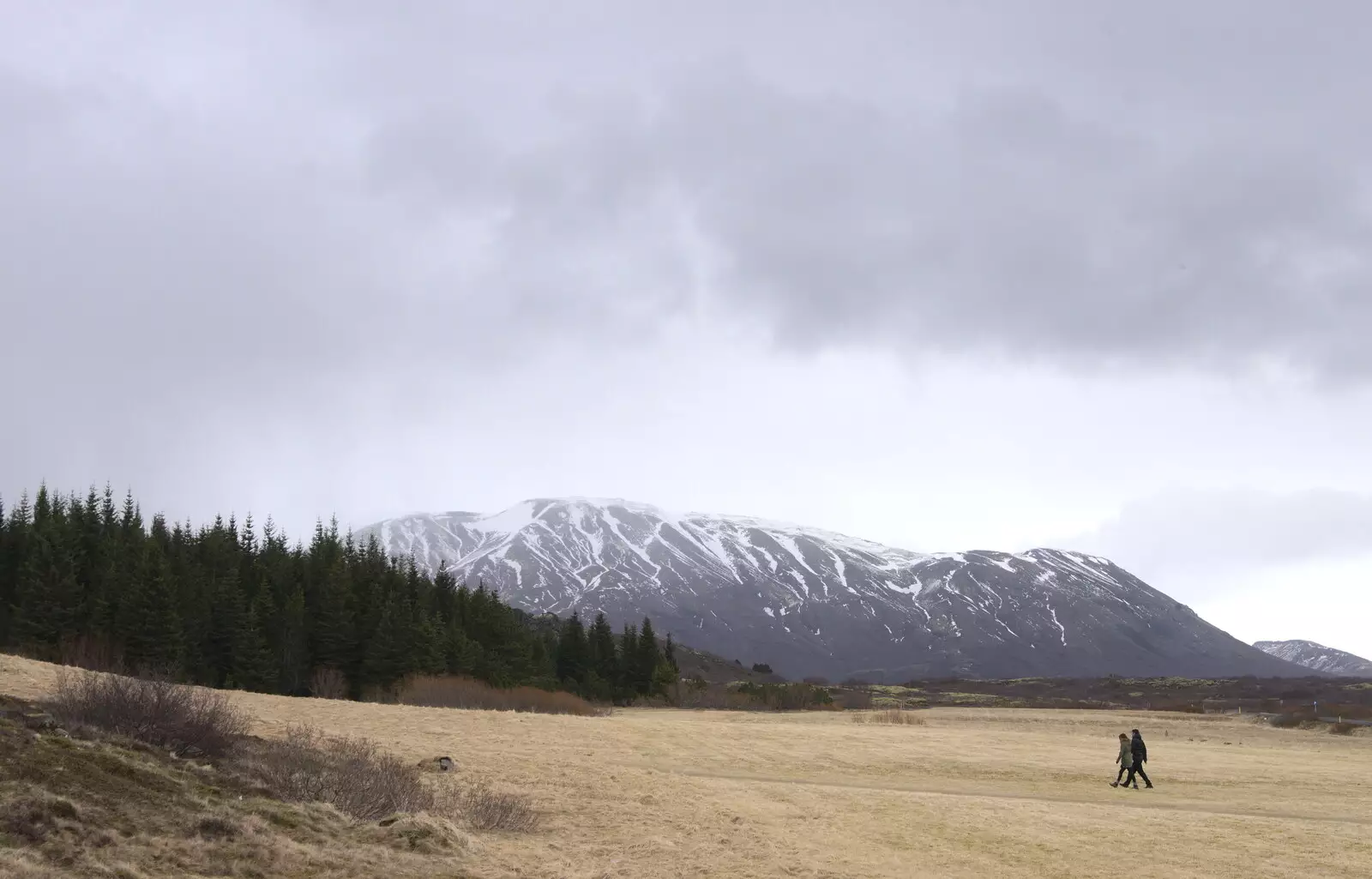 Two walkers in the mountains, and some rare trees, from The Golden Circle of Ísland, Iceland - 22nd April 2017