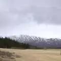 Two walkers in the mountains, and some rare trees, The Golden Circle of Ísland, Iceland - 22nd April 2017