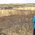 Isobel takes a photo of a bare bush, The Golden Circle of Ísland, Iceland - 22nd April 2017