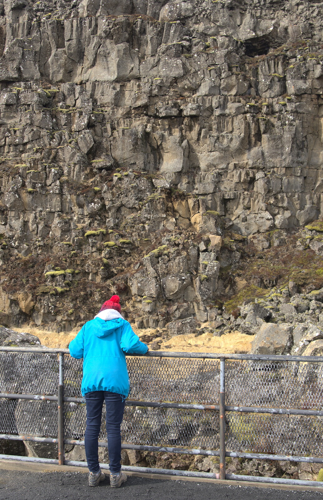 Isobel looks into the edge of the American plate from The Golden Circle of Ísland, Iceland - 22nd April 2017