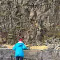 Isobel looks into the edge of the American plate, The Golden Circle of Ísland, Iceland - 22nd April 2017