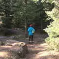 Isobel heads off through the woods, Stríðsminjar War Relics, Perlan and Street Art, Reykjavik, Iceland - 23rd April 2017