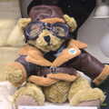 Roger, the official RAF Bomber Command bear, Norfolk and Suffolk Aviation Museum, Flixton, Suffolk - 30th April 2017
