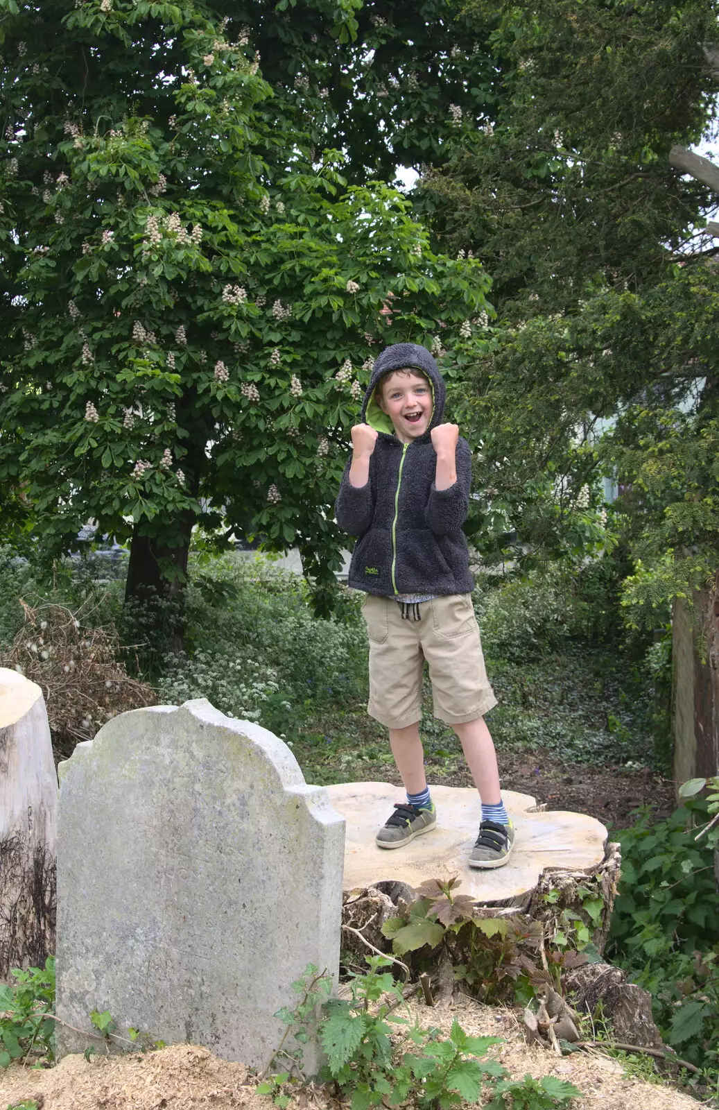 Fred stands on a tree stump, from A Postcard From Thaxted, Essex - 7th May 2017