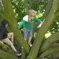 The boys find a climbey tree, A Postcard From Thaxted, Essex - 7th May 2017