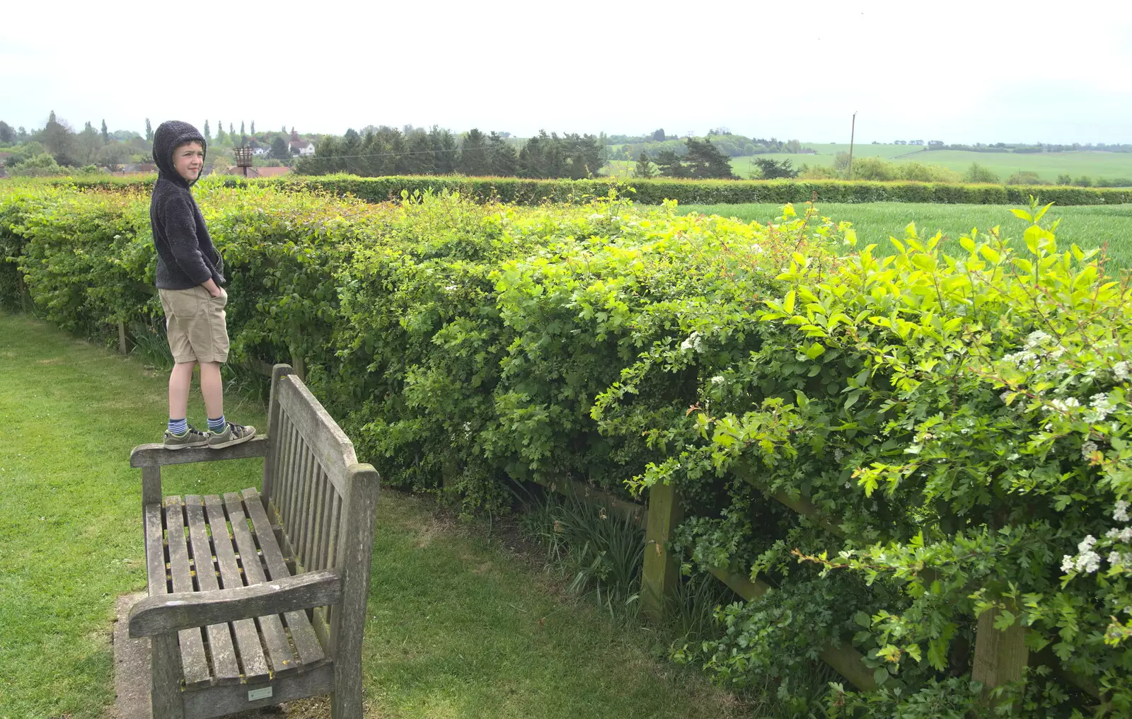 Fred looks out over the fields, from A Postcard From Thaxted, Essex - 7th May 2017