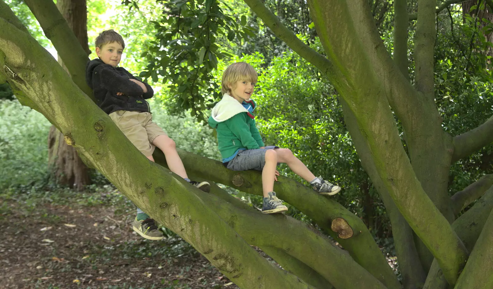 The boys are back up in their tree, from A Postcard From Thaxted, Essex - 7th May 2017