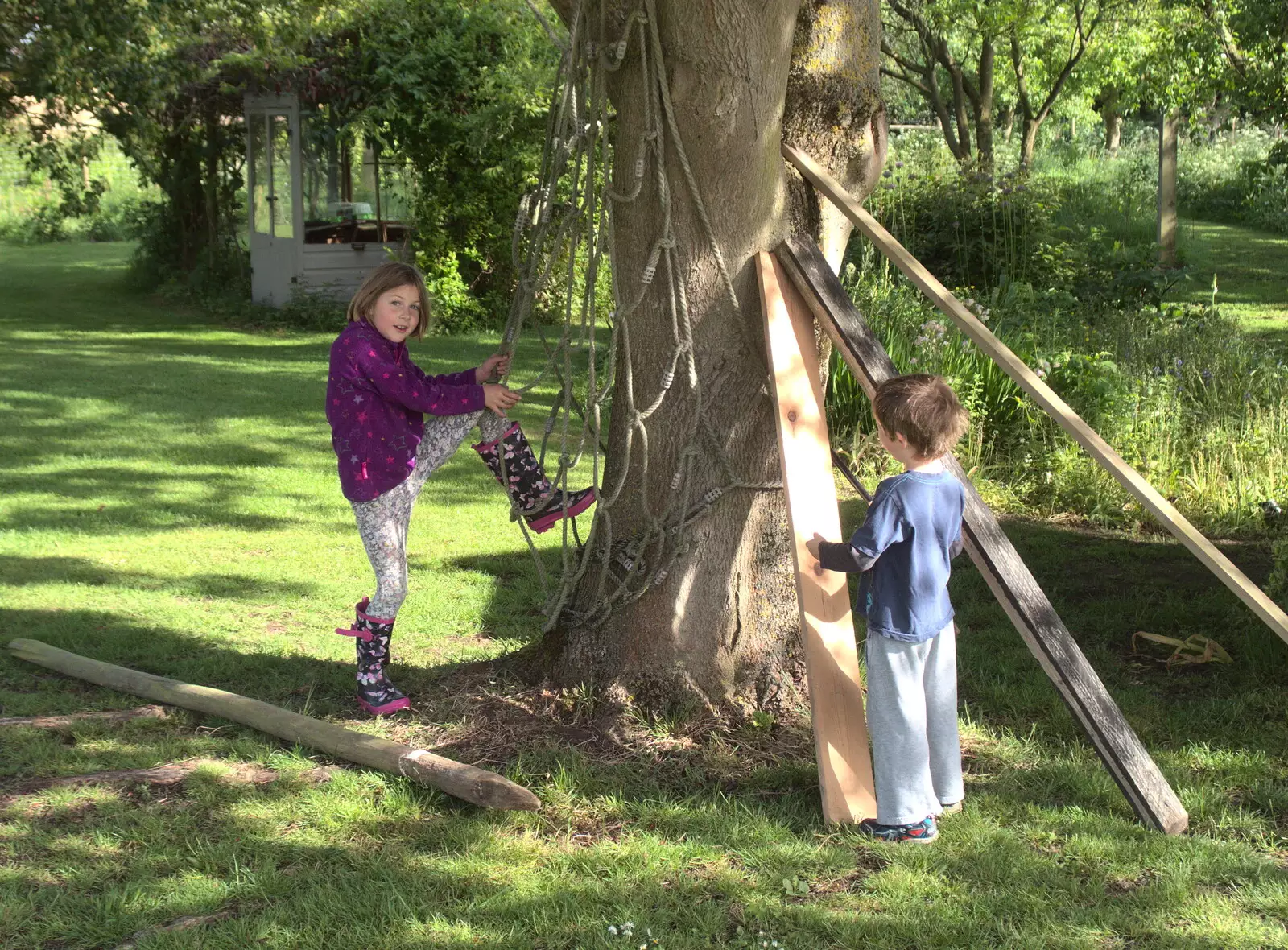 Soph the Roph climbs a tree, from Clive and Suzanne's Party, Braisworth, Suffolk - 21st May 2017