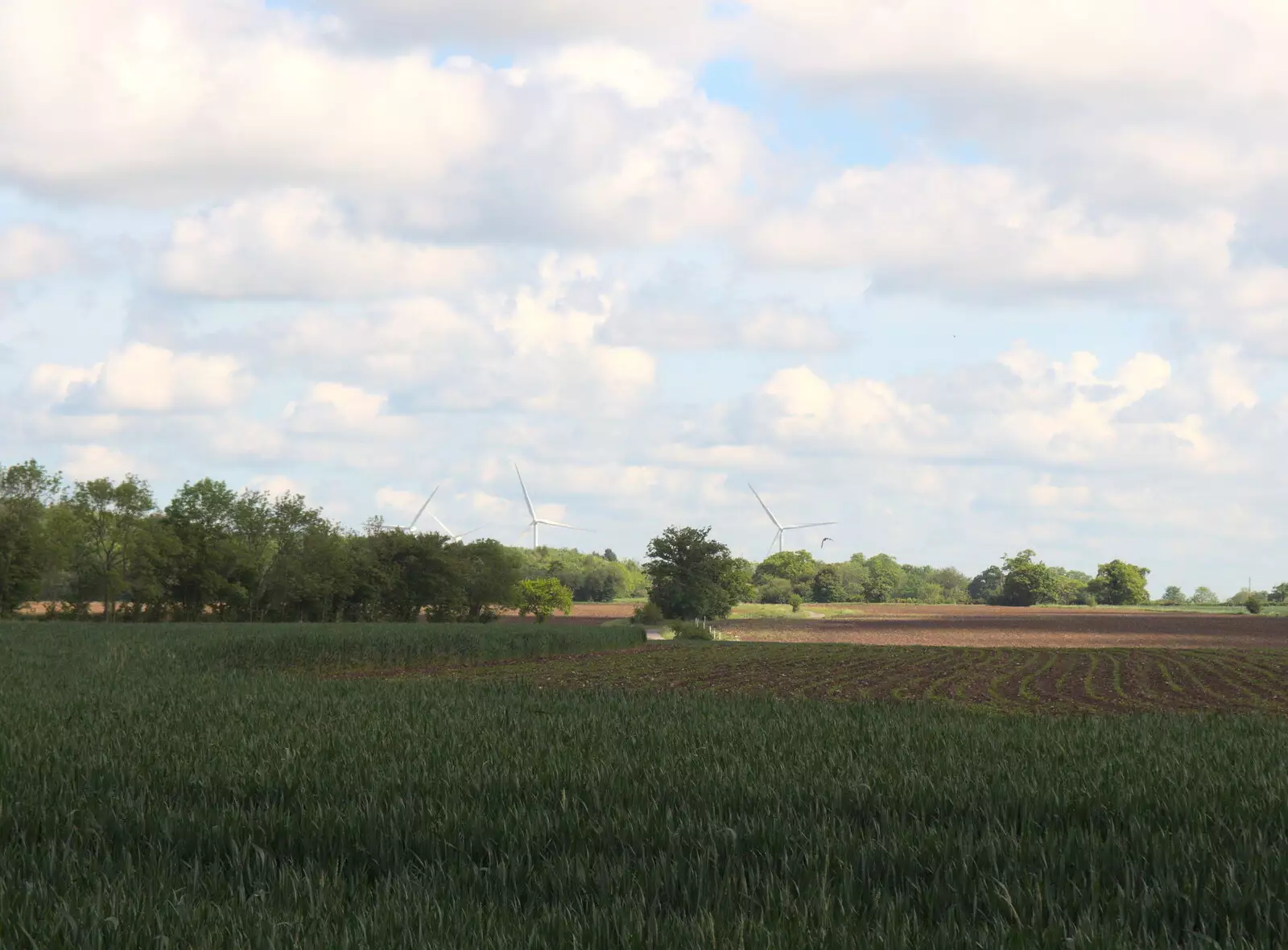 The wind turbines of eye in the distance, from Clive and Suzanne's Party, Braisworth, Suffolk - 21st May 2017