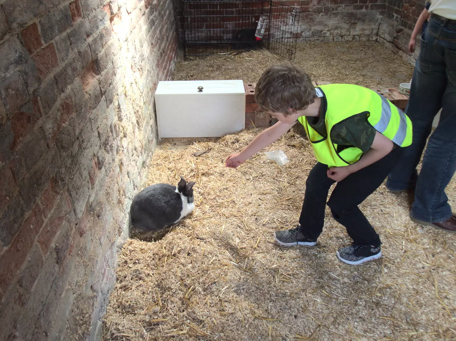 Fred reaches out to a rabbit, from Clive and Suzanne's Party, Braisworth, Suffolk - 21st May 2017