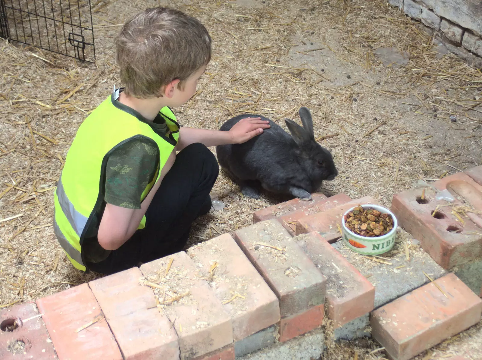 Fred strokes a rabbit, which soon escapes, from Clive and Suzanne's Party, Braisworth, Suffolk - 21st May 2017