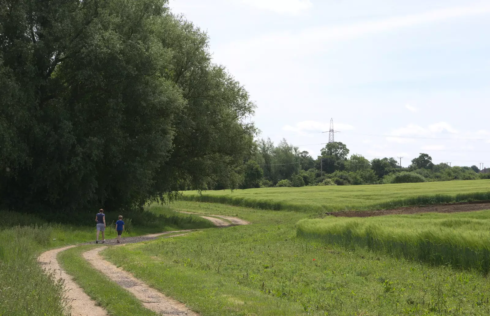 Isobel and Harry on the path to Wavy's, from Wavy and Martina's Combined Birthdays, Thrandeston, Suffolk - 27th May 2017