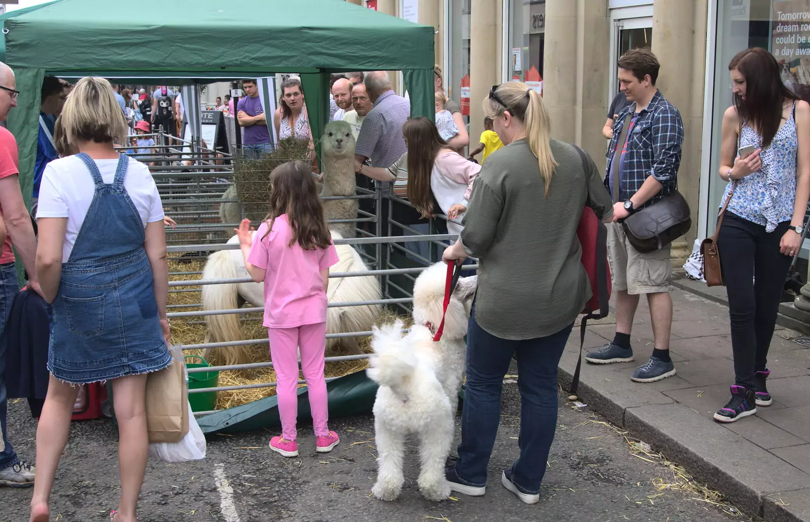 There's a miniature zoo, from Wavy and Martina's Combined Birthdays, Thrandeston, Suffolk - 27th May 2017