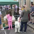 There's a miniature zoo, Wavy and Martina's Combined Birthdays, Thrandeston, Suffolk - 27th May 2017