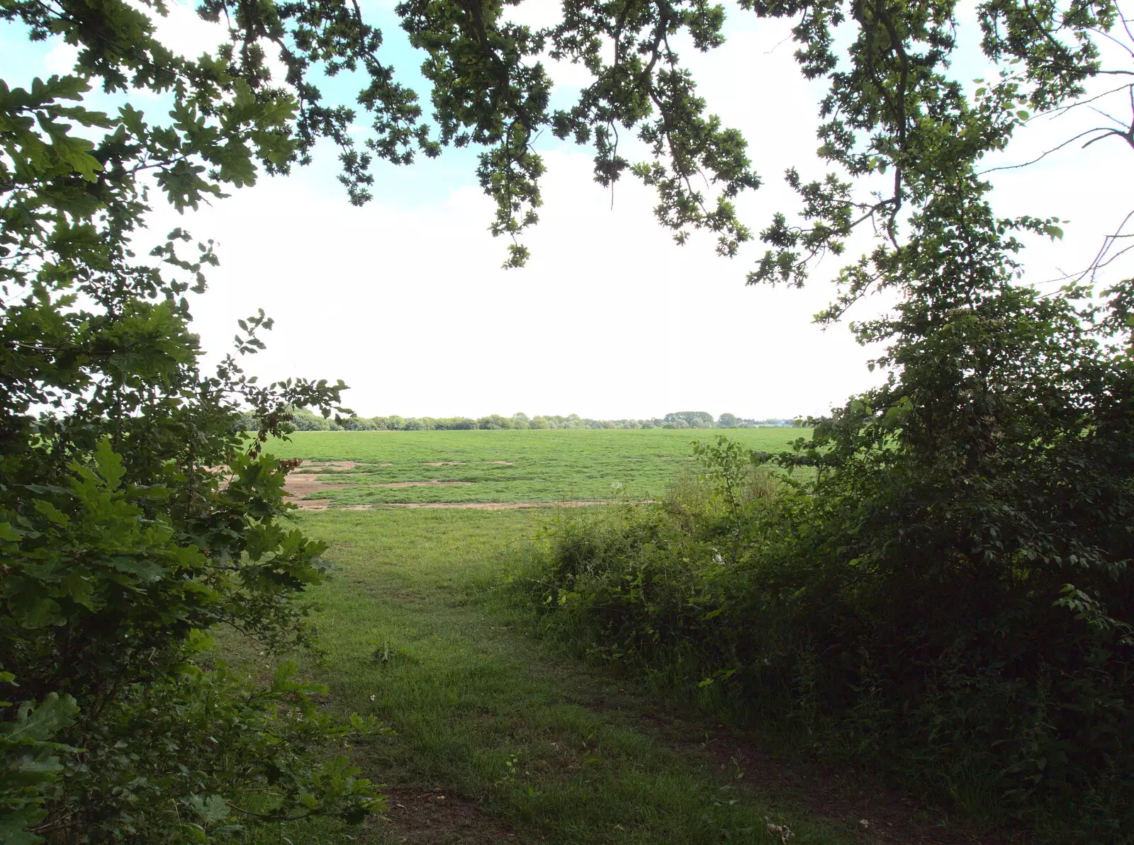 A field somewhere, from A Retirement: The Last Night of The Swan Inn, Brome, Suffolk - 3rd June 2017