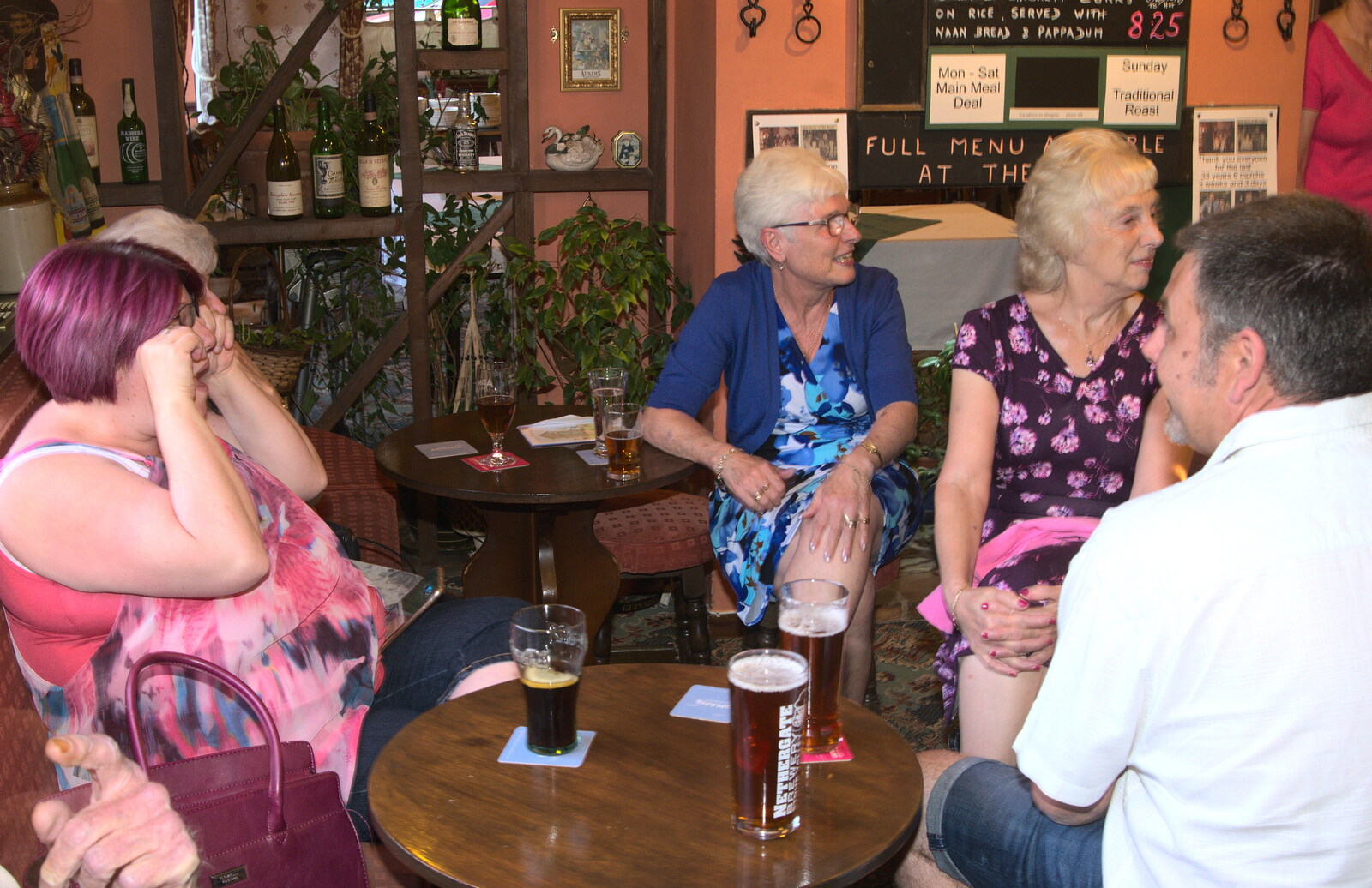 Spammy looks over from A Retirement: The Last Night of The Swan Inn, Brome, Suffolk - 3rd June 2017