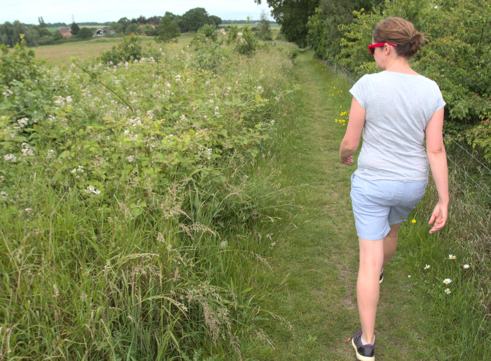 We walk around the fields from Lifehouse and Thorpe Hall Gardens, Thorpe-le-Soken, Essex - 11th June 2017