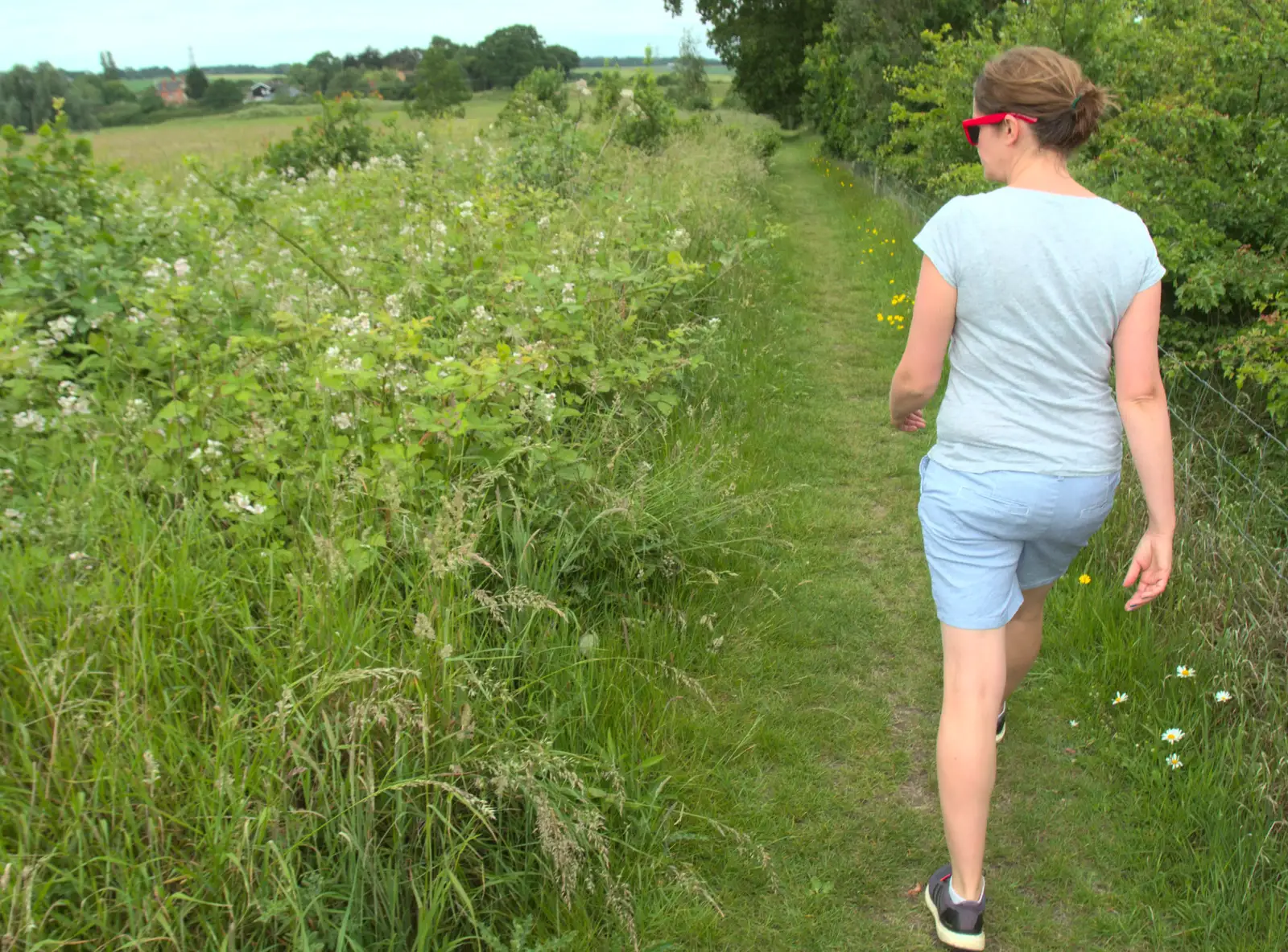 We walk around the fields, from Lifehouse and Thorpe Hall Gardens, Thorpe-le-Soken, Essex - 11th June 2017