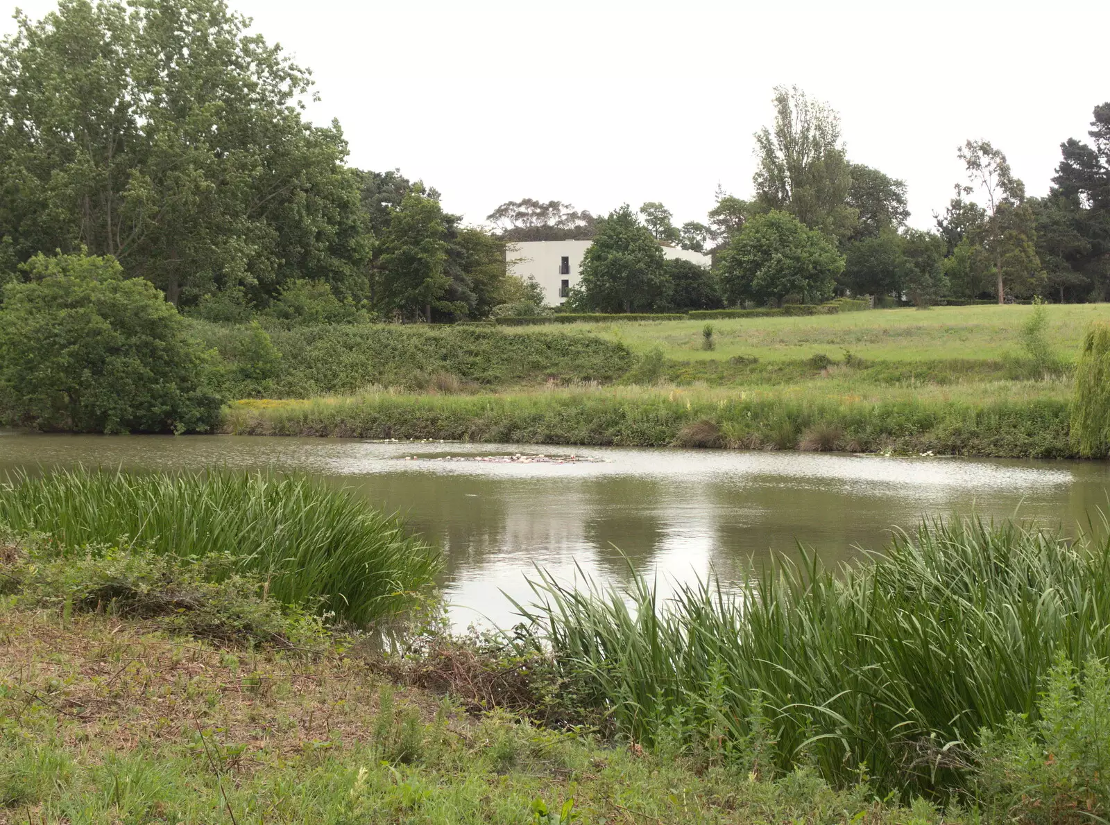 A lake in the grounds, from Lifehouse and Thorpe Hall Gardens, Thorpe-le-Soken, Essex - 11th June 2017