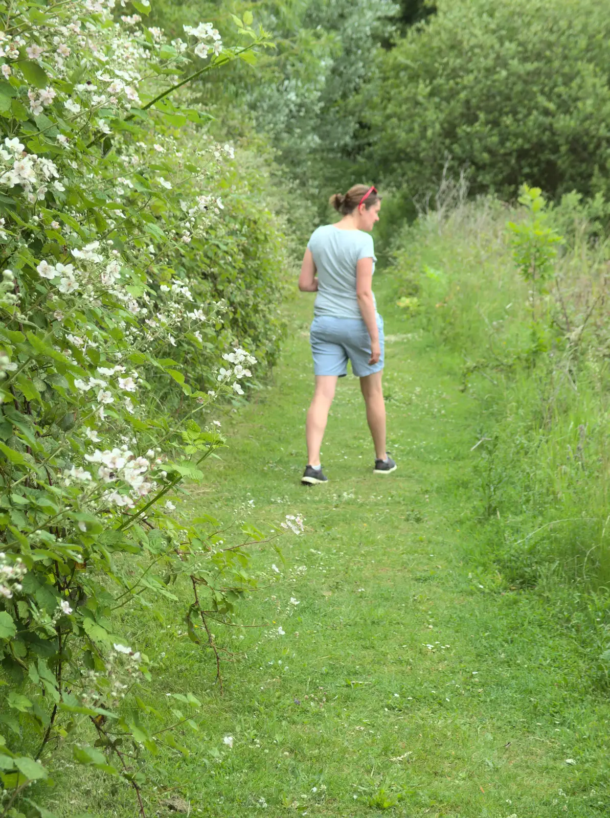 Isobel in the hedgerows, from Lifehouse and Thorpe Hall Gardens, Thorpe-le-Soken, Essex - 11th June 2017