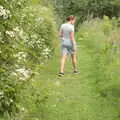 Isobel in the hedgerows, Lifehouse and Thorpe Hall Gardens, Thorpe-le-Soken, Essex - 11th June 2017