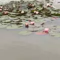 A lily pond, Lifehouse and Thorpe Hall Gardens, Thorpe-le-Soken, Essex - 11th June 2017