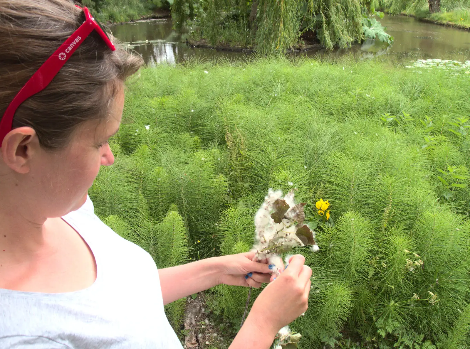 Isobel finds some fluffy plants, from Lifehouse and Thorpe Hall Gardens, Thorpe-le-Soken, Essex - 11th June 2017