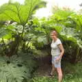 Isobel stands in amongst some giant plants, Lifehouse and Thorpe Hall Gardens, Thorpe-le-Soken, Essex - 11th June 2017