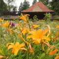 Nice orange flowers, Lifehouse and Thorpe Hall Gardens, Thorpe-le-Soken, Essex - 11th June 2017