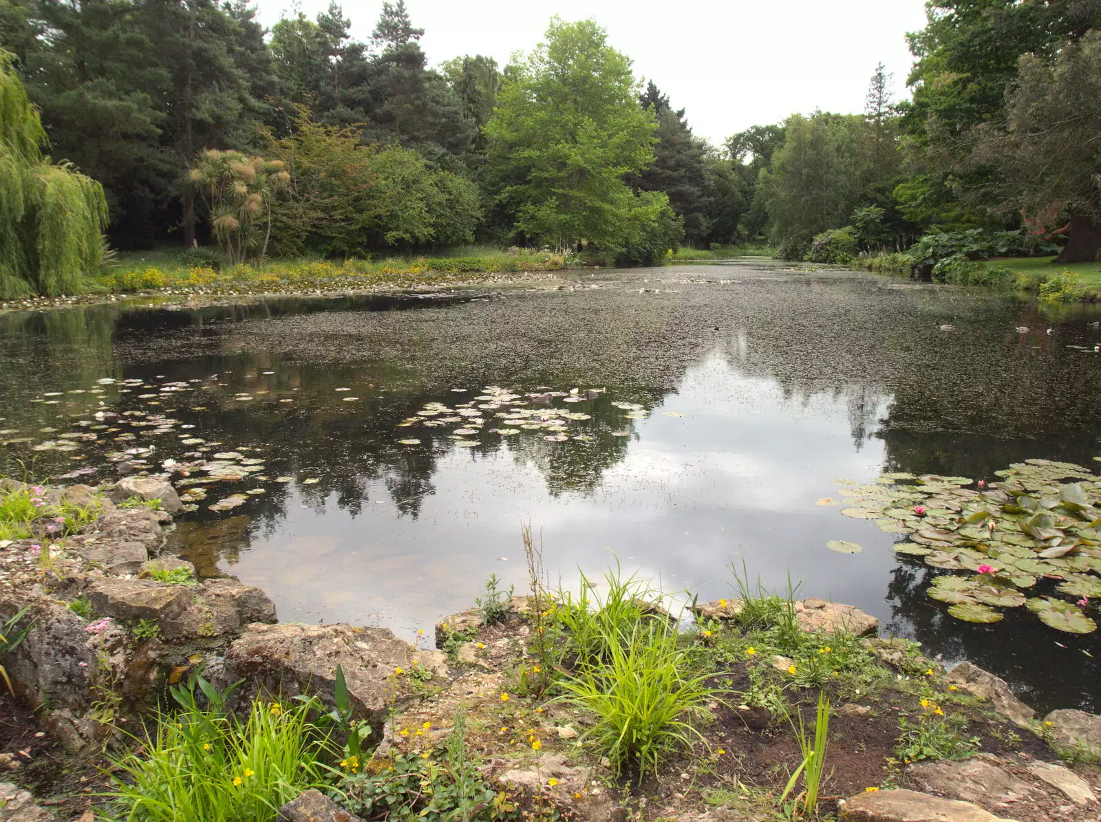 A nice big pond with lillies on it, from Lifehouse and Thorpe Hall Gardens, Thorpe-le-Soken, Essex - 11th June 2017