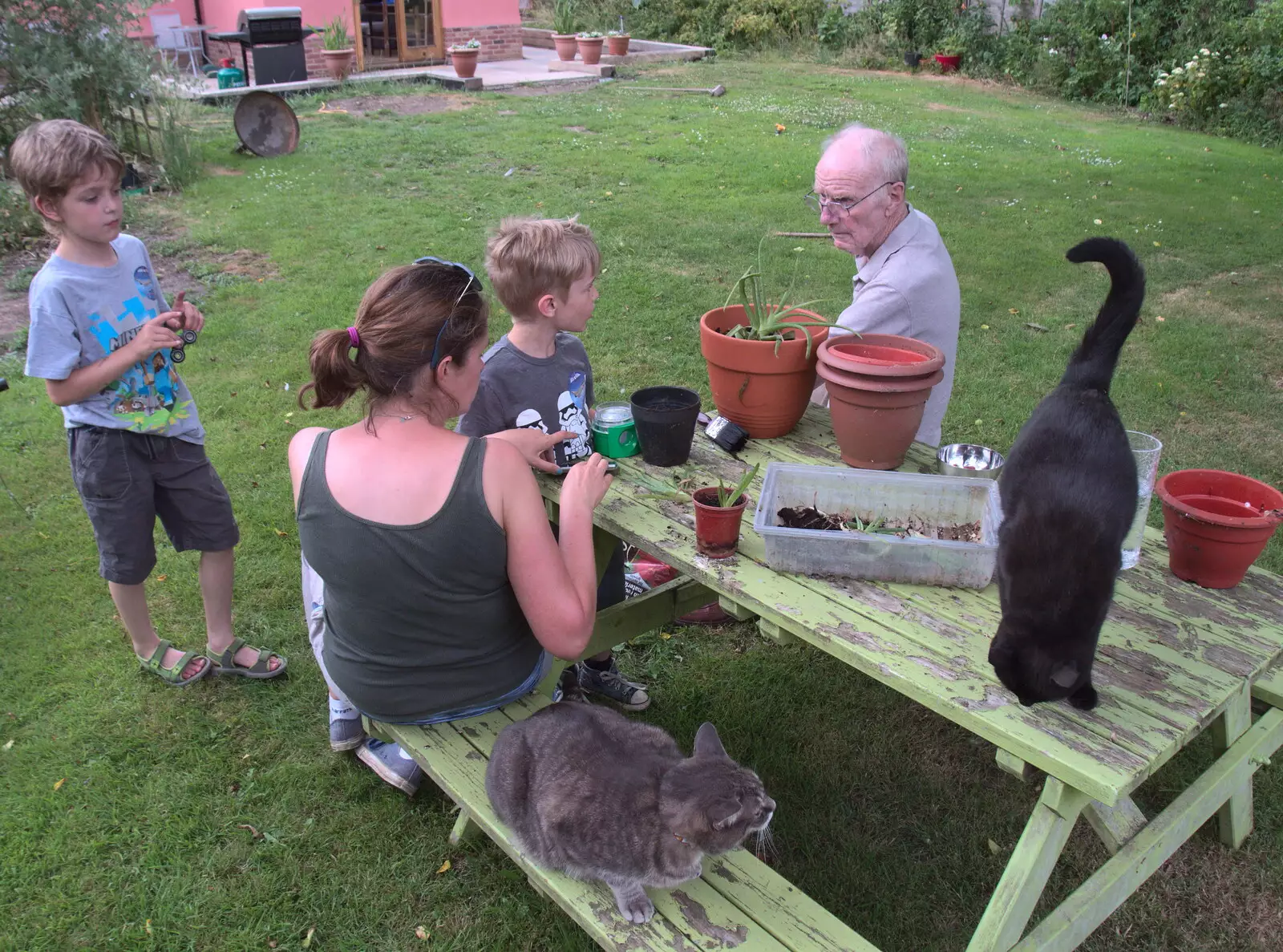 The cats roam around, from The Real Last Night of the Swan Inn, Brome, Suffolk - 24th June 2017